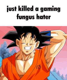The Gaming Fungus Goku GIF