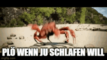 a crab is crawling on a sandy beach with the words " plo wenn ju schlafen will " below it