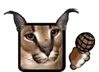 a close up of a cat holding a microphone next to it .