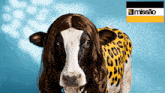 a cow wearing a wig and a leopard print shirt is standing in front of a mission sign