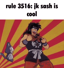 rule3516 goku