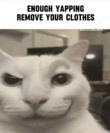 a white cat is making a funny face with enough yapping remove your clothes written below it