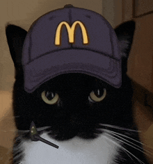 a black cat wearing a mcdonald 's hat and a headset