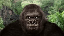 Gorilla Yes GIF - Gorilla Yes Yeah GIFs