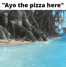 Tbb The Bad Batch GIF - Tbb The Bad Batch Ayo The Pizza Here GIFs