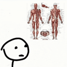 a drawing of a person crying next to a diagram of the muscles of the body