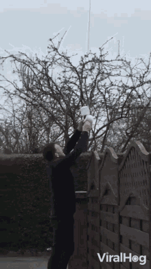 Detach Remove From Rope GIF - Detach Remove From Rope Take The Toilet Paper GIFs