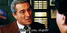 What Are You? Stupid? GIF - Robert De Niro What Are You Stupid GIFs
