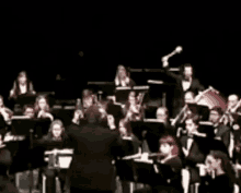 Oops Band GIF - Oops Band Orchestra GIFs