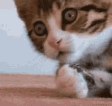 Car Surprised GIF - Car Surprised Oh GIFs