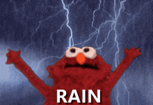 elmo with his arms outstretched and the word rain on the bottom