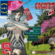 a welcome to north carolina sign with a cowboy hat on