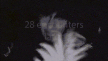 28encounterslater GIF