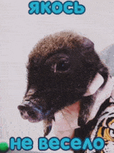 a pig is being held by a person with the words " he весело " below it