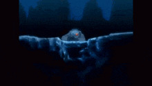 a person is holding a fire in their hands in the dark