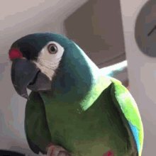 GIF