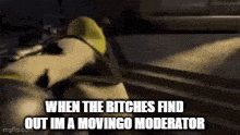 Movingo Movingo Mod GIF - Movingo Movingo Mod Movingo Moderator GIFs