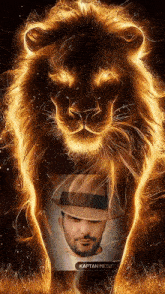 a painting of a lion with a man in a hat and the name kaptan mesik on the bottom
