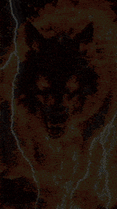 a wolf is surrounded by flames with the words welcome written on it