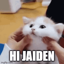 Hi Jaiden Jaiden GIF - Hi Jaiden Jaiden Jaiden From Family Hangout GIFs