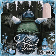 a picture of a cat with snowflakes and the words good morning