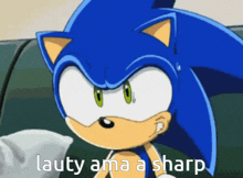 a cartoon of sonic the hedgehog with the words lauty ama a sharp below him