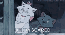 The Aristocats Disney GIF - The Aristocats Disney Scared GIFs