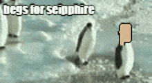 Gem3 Seipphire GIF - Gem3 Seipphire Opaltoshi GIFs
