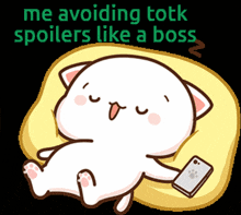 Zelda Totk GIF - Zelda Totk Avoiding Totk Spoilers GIFs