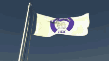 Flag Waving Drapeau Parti Imperial Saphyr GIF - Flag Waving Drapeau Parti Imperial Saphyr Flag GIFs