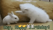 a cat and a rabbit are standing next to each other on a couch and saying `` hey , happy birthday ! ''