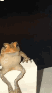 GIF