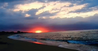 beach sunset gif tumblr