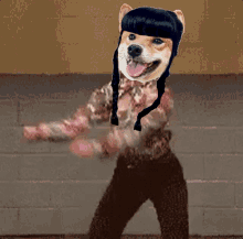 Dogecoin Dogefam GIF - Dogecoin Doge Dogefam GIFs