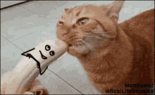 The Cat And The Banana Real Life Doodles GIF - The Cat And The Banana Real Life Doodles GIFs