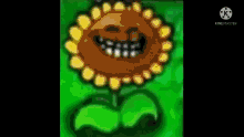 Sunflower Kernel GIF - Sunflower Kernel Squash GIFs