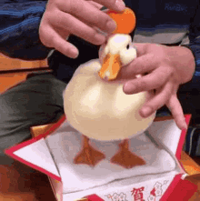 Duck Duck Orange GIF - Duck Duck Duck Orange GIFs