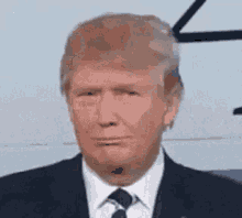 Donald Trump Really GIF