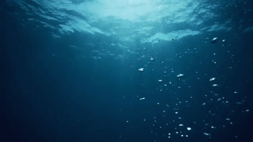 [Image: underwater-bubbles.gif]