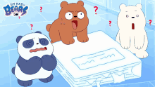 Confused Panda GIF - Confused Panda Grizzly Bear GIFs