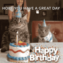 Happy Birthday Happy Birthday Cat GIF - Happy Birthday Happy Birthday Cat GIFs