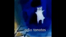 Adio Tonotos GIF - Adio Tonotos GIFs