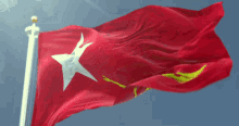 a red flag with a white star and a yellow hand on it