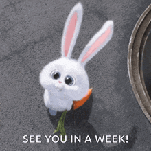 Snowball Bunny Carrot GIF - Snowball Bunny Carrot Nuf Nuf GIFs