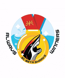 beta sharks winners beta sharks winners