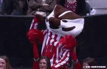 Bucky Badger University Of Wisconsin Madison GIF - Mascot Fist Pump Cheer GIFs