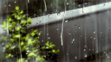 Aesthetic Rain GIF - Aesthetic Rain Anime GIFs