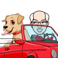 Convertible Dog GIF - Convertible Dog Ride GIFs