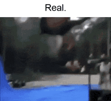 Flying Horse Real Meme GIF - Flying Horse Real Meme Real GIFs