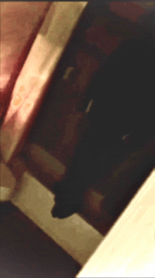 Ghost GIF - Ghost GIFs